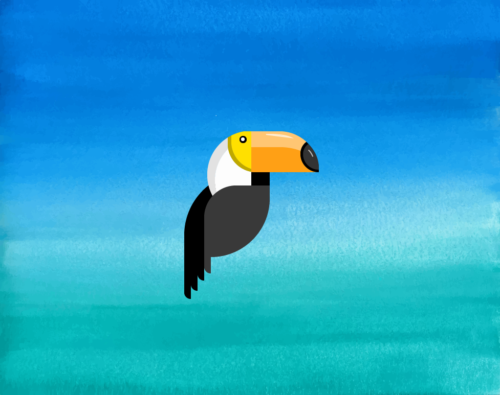 Toucan